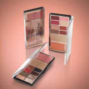Character Face and Eye Palette - CFE002 (17 g)