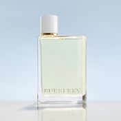 Burberry Her Eau de Toilette for Women (100 ml)