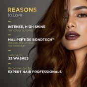 BBlunt Salon Secret High Shine Conditioning Hair Colour - 4.31 Coffee Natural Brown (130 g)