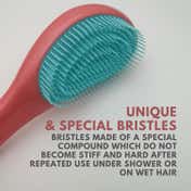 Alan Truman DT02 Detangling Brush - Pink Blue (1 Pc)
