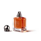 Emporio Armani Stronger with You Intensely Eau De Parfum (100 ml)