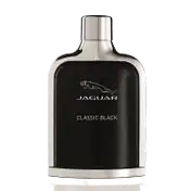 Jaguar Classic + Classic Black (Pack of 2)