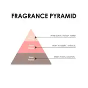 JD COLLECTION Farfashah Eau De Parfum (100ml)