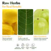 Sacred Grove Neem Anti-Dandruff Hair Mask (200 g)