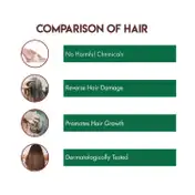 Jovees Thyme & Tea Tree Anti Dandruff Shampoo (250ml)