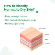 The Derma Co 5% Nia-Ceramide Deep Moisturizing Cream (100 g)