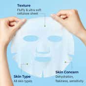 Torriden Dive In Mask (27 ml)