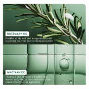 Biolage Full Rescue Anti-Hairfall Conditioner with Rosemary & Niacinamide - 74% Less Hairfall (100ml)