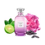 Coach Dreams Moonlight EDP (90 ml)