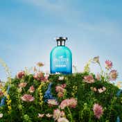 Hollister Feelin' Good Eau De Toilette for Men (100 ml)