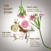 Inde Wild Surya (Sun) Hair and Body Perfume Mist (60 ml)