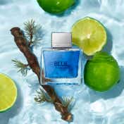 Banderas Blue Seduction Eau de Toilette for Men (50 ml)