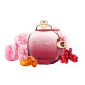 Coach Wild Rose Eau De Parfum (50ml)