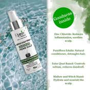 Ktein 100% Plant Based Gentle Scalp Spray For Dandruff Control (100 ml)
