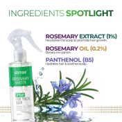 Streax Rosemary Water Spray for Hair Growth, Stronger & Thicker Hair (200 ml)
