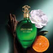 Roberto Cavalli Signature Verde Assoluto Eau De Parfum for Women (75 ml)