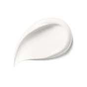 DIOR Capture Day Cream (50 ml)