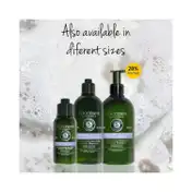 L'occitane En Provence Equilibre & Douceur Gentle & Balance Micellar Shampoo - (500ml)