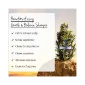 L'occitane En Provence Equilibre & Douceur Gentle & Balance Micellar Shampoo - (500ml)