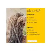 L'occitane Shining Hair Starter Pack Combo