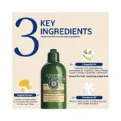 L'occitane Strength & Volume Conditioner - (75ml)