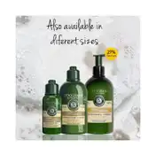 L'occitane Strength & Volume Conditioner - (75ml)