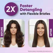 Vega Paddle Hair Brush with Cleaning Comb for Men & Women (E18-PB)