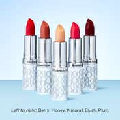 Elizabeth Arden Eight Hour Cream Lip Protectant Stick Spf 15 Trio Set - Honey Plum and Blush (3 Pcs)