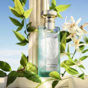 Bvlgari Eau Parfume The Vert Eau de Toilette (75 ml)