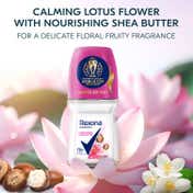 Rexona Antiperspirant Roll-on Lotus Flower & Shea Butter (50 ml)