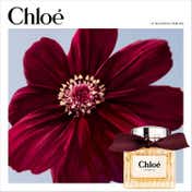 Chloe Le Parfum for Women (50 ml)