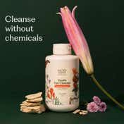 Sacred Grove Hair Cleanser with Reetha Herbal Shampoo (250 ml)