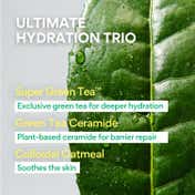 Innisfree Green Tea Ceramide Cream Korean Hydrating Moisturizer for Barrier Repair & Glass Skin (50 ml)