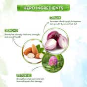 Mamaearth Onion Hair Oil (50 ml) Contains Almond Oil & Redensyl