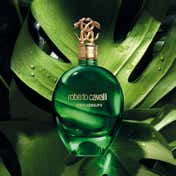Roberto Cavalli Signature Verde Assoluto Eau De Parfum for Women (75 ml)