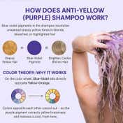 HAIR PURE Silver Yellow Cutter Shampoo (250 ml)