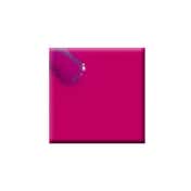 Colorbar Vegan Nail Lacquer - Doodle Bar-032 (8 ml)
