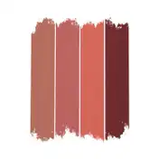 Miss Claire Mineral Blusher Kit - 3716-4-3 Multi-Color (14.4 g)