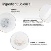 The Formularx Barrier Plus Peptide Ceramide Moisturizer for Dry Normal and Sensitive Skin (50 g)
