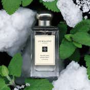 Jo Malone London Wood Sage & Sea Salt Cologne (50 ml)