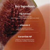 Axis-Y Vita Glow Lip Oil - Cozy Fig (4 ml)