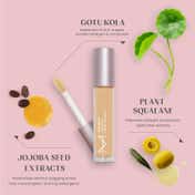 HOUSE OF MAKEUP Zoom In Crease-Free, Creamy Concealer - M01 Medium Skin Tone (6 ml)