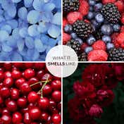 Blur India Smells Like I’M Dipped In Berries Solid Perfume (10 g)