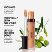 bareMinerals Barepro 16 Hr Wear All Over Skin-Perfecting Matte Concealer - Medium 300 Neutral​ (7.5 ml)