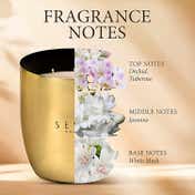 Seva Home Heirloom Classic Bloom Gold Candle (2 Pcs)