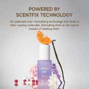Inde Wild Chandra (Moon) Hair and Body Perfume Mist (60 ml)