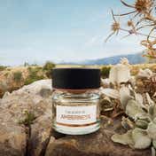 BMW Amberness Eau de Parfum (100 ml)