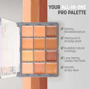 Daily Life Forever52 Academic 12 Color Concealer Palette - FAC701 (24 g)