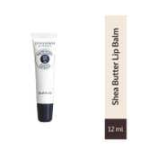 L'occitane Shea Butter Giftset With Free Body Cream (3 pcs)