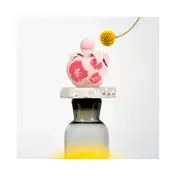 Nina Ricci Nina Fleur EDT (30ml)